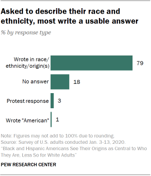 Asked to describe their race and ethnicity, most write a usable answer 