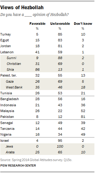 Views of Hezbollah