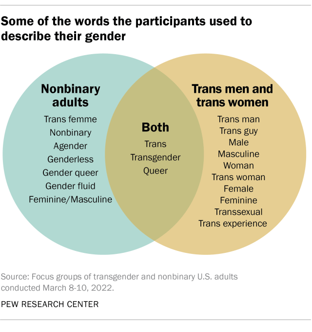 Venn diagram showing some of the words the participants used to describe their gender