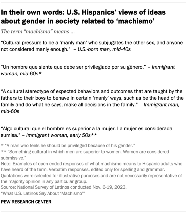 In their own words: U.S. Hispanics’ views of ideas about gender in society related to ‘machismo’