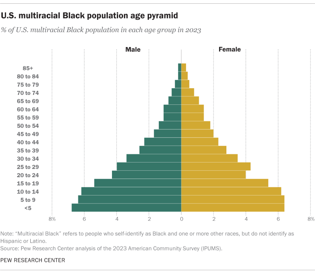 U.S. multiracial Black population age pyramid