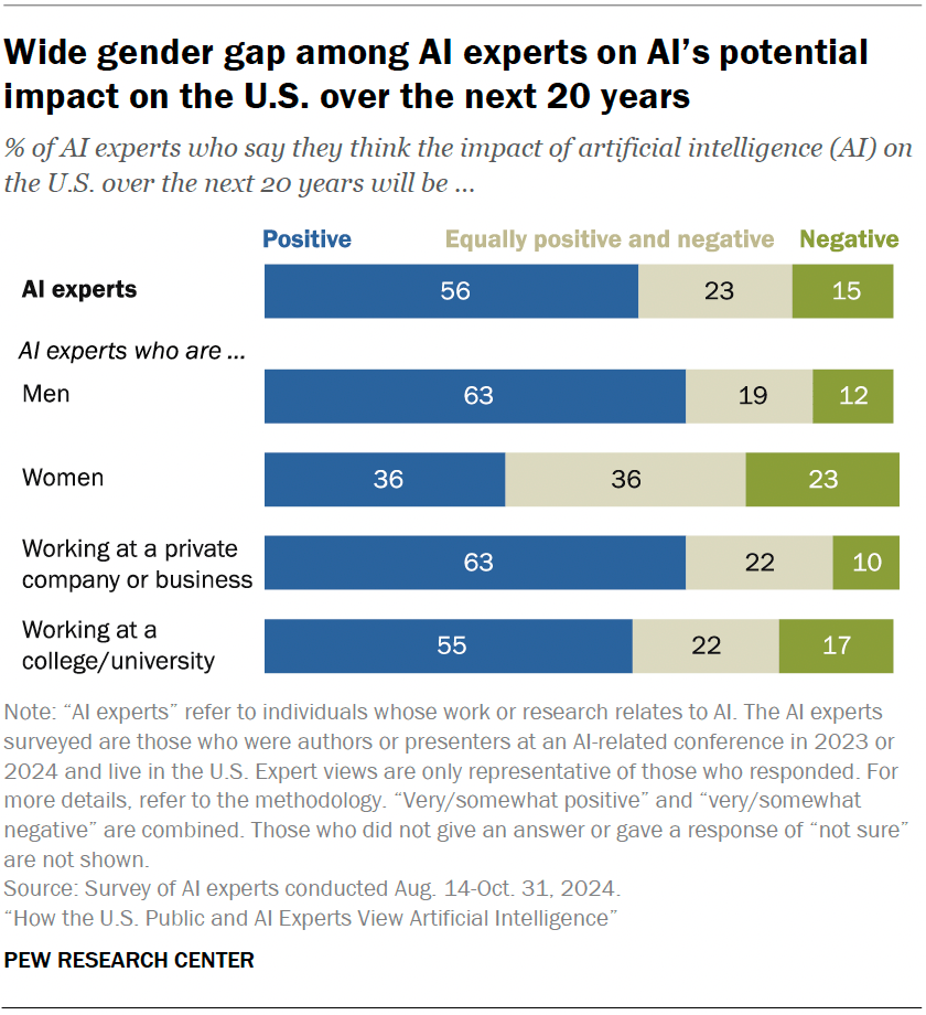 Wide gender gap among AI experts on AI’s potential impact on the U.S. over the next 20 years