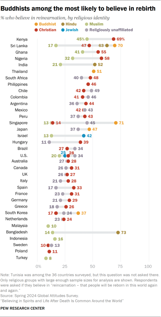 Chart showing Buddhists among the most likely to believe in rebirth