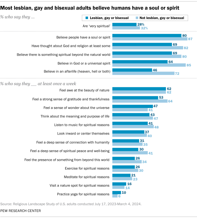 A bar chart showing that Most lesbian, gay and bisexual adults believe humans have a soul or spirit.