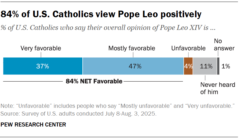 84% of U.S. Catholics view Pope Leo positively