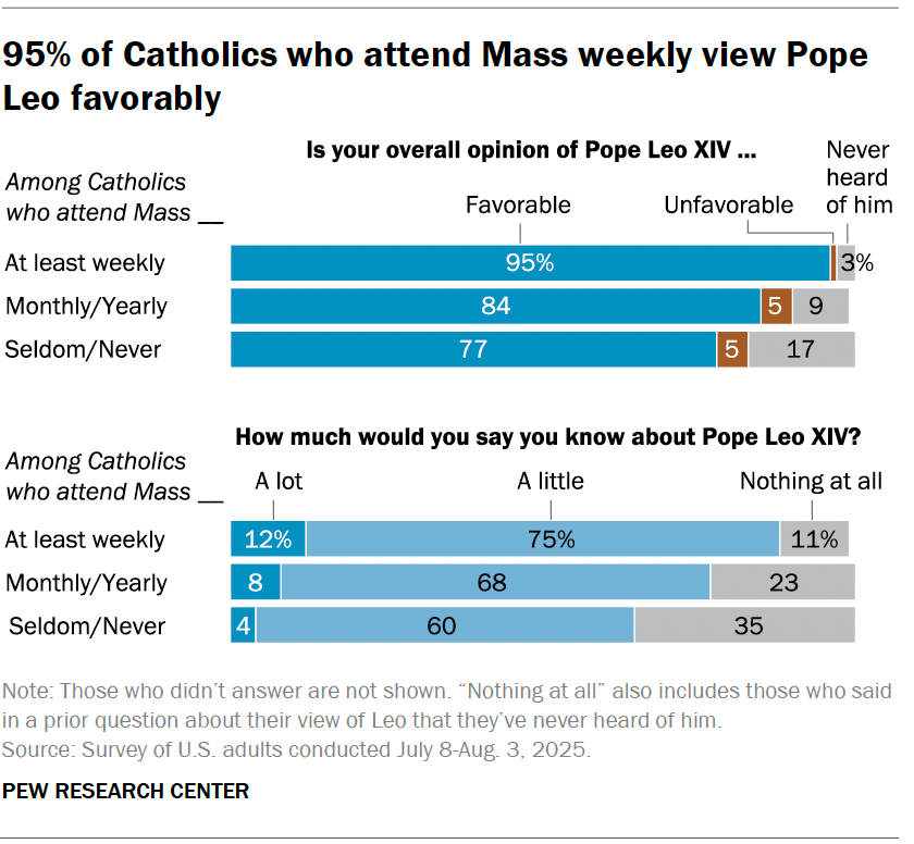 95% of Catholics who attend Mass weekly view Pope Leo favorably