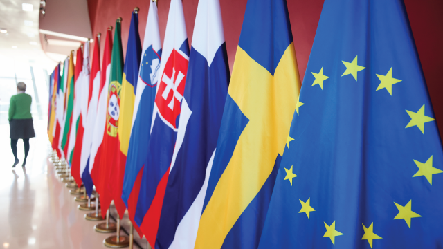 Flags of EU member nations are displayed during a conference in Krakow, Poland, on Jan. 30, 2025. (Beata Zawrzel/NurPhoto via Getty Images)