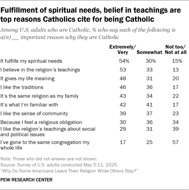 Fulfillment of spiritual needs, belief in teachings are top reasons Catholics cite for being Catholic