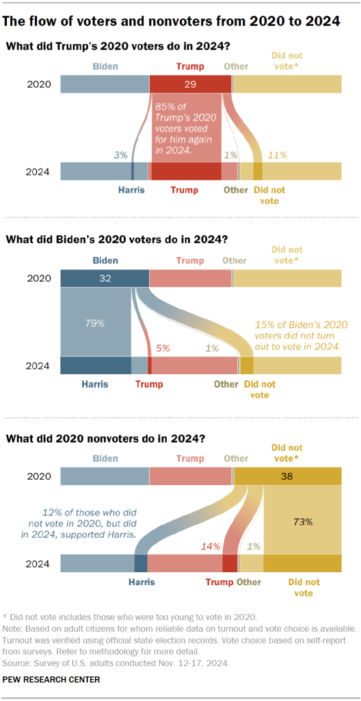 The the flow of voters and nonvoters from 2020 to 2024