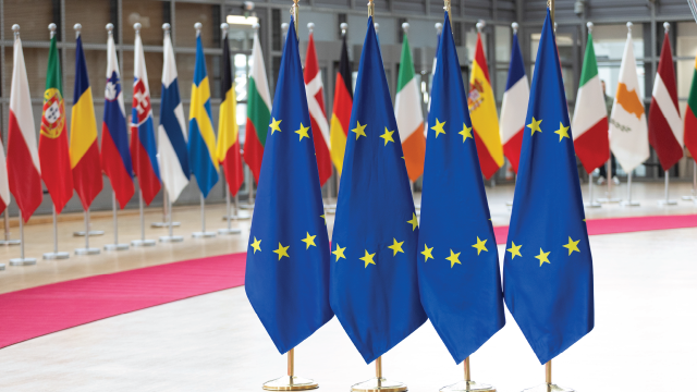 Flags of the European Union and EU member states are displayed in the Europa Building in Brussels on May 27, 2025. (Nicolas Economou/NurPhoto via Getty Images)